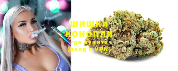 марки lsd Новозыбков
