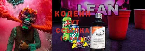 амф Новодвинск