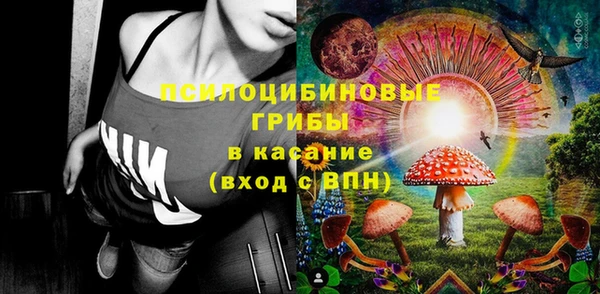 амф Новодвинск