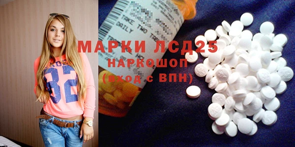амф Новодвинск