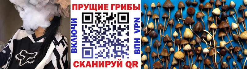 Галлюциногенные грибы MAGIC MUSHROOMS где можно купить наркотик Струнино